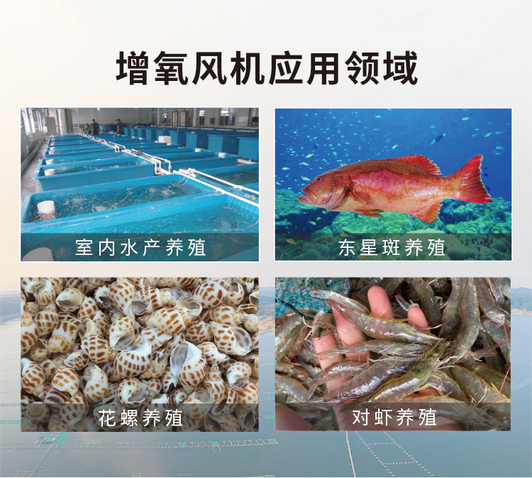 鱼塘增氧机